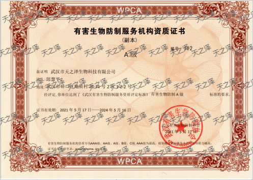 有害生物防制服務機構資質(zhì)證書-A級